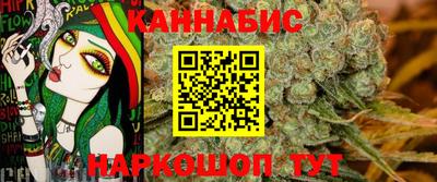 mdpv Кандалакша