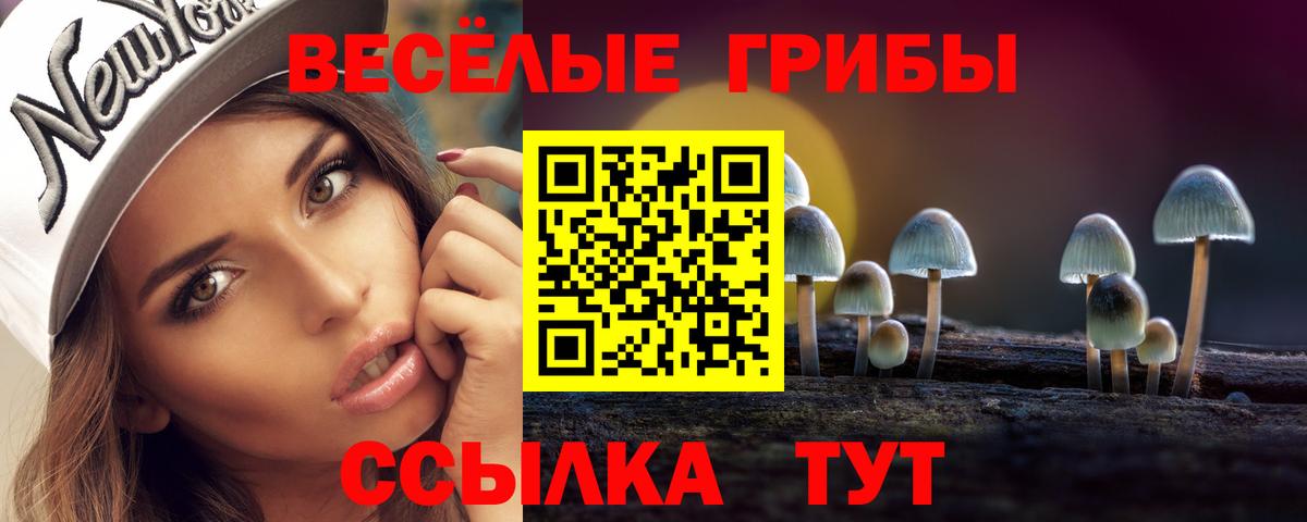 Галлюциногенные грибы Magic Shrooms  Вход с VPN  Отрадный 